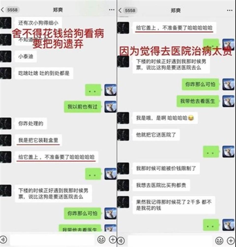 鄭爽自爆想將病犬丟棄。(圖/翻攝自張恒微博)