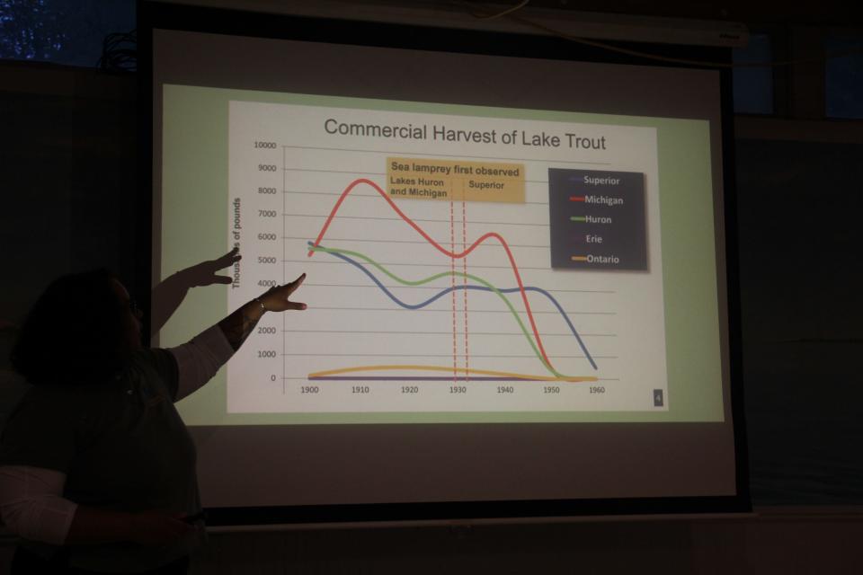 A graph shows the decline in commercial harvest of lake trout in the Great Lakes following the invasion of sea lampreys in the 1900s.