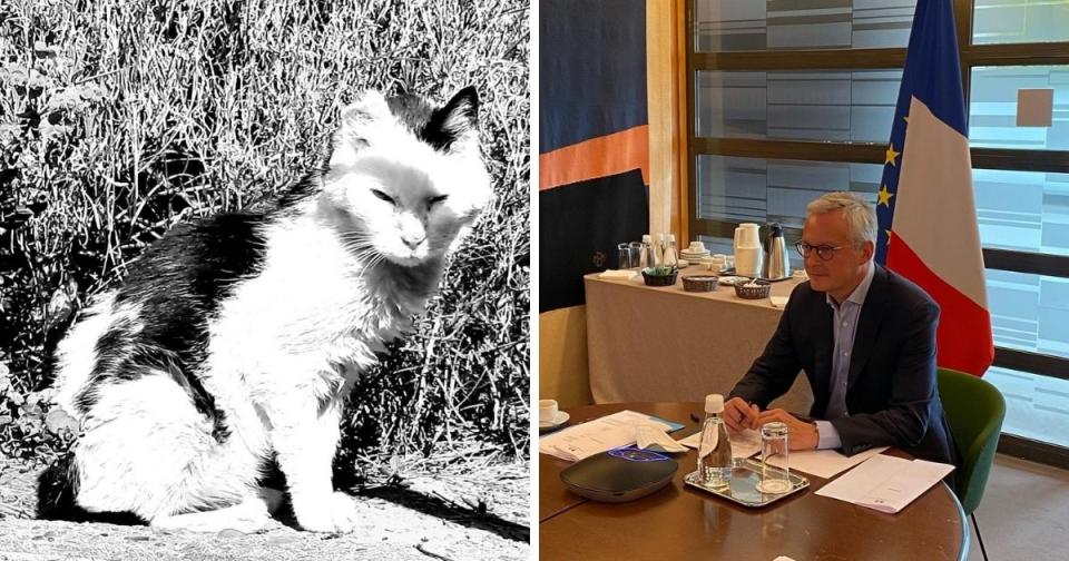 <p>French Minister of Economy and Finance Bruno Le Maire announced solemnly last week that he will adopt a new cat after the passing of Olive. (Photos courtesy of Bruno Le Maire/Instagram)</p>
