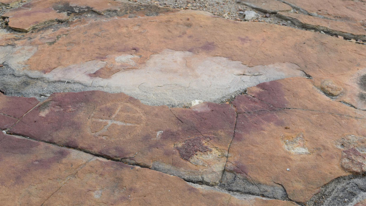  Petroglyphs uncovered at an archaeological site in Brazil. 