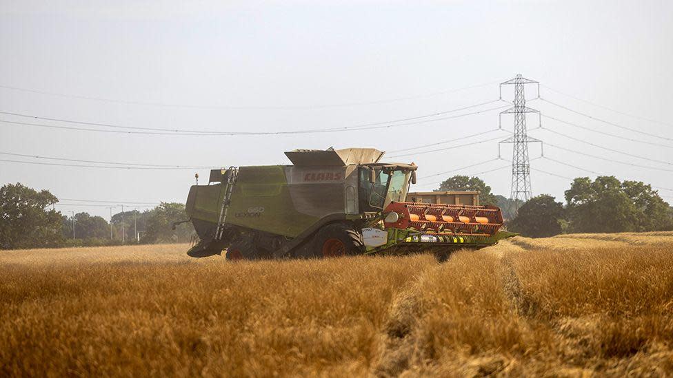 A combine harvester out on the fields during the summer harvest with electricity pylons in the background, near Benfeet on 12 August