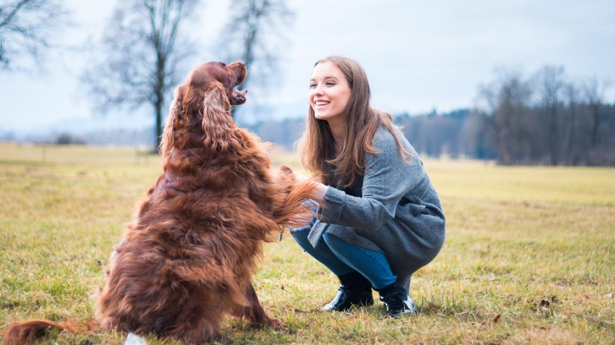 Trainer shares simple tip to improve your dog’s engagement during training