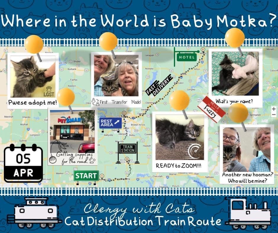 This map documents the route Baby Motka and members of "Clergy with Cats" took to unite the kitten with her new owner.