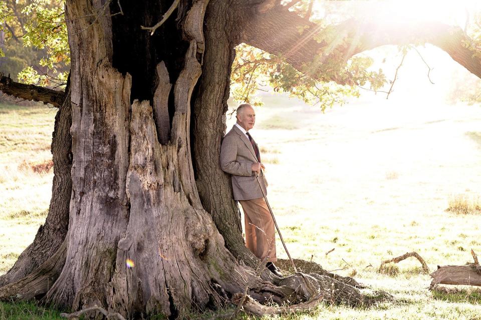 His Majesty The King with an ancient oak tree in Windsor Great Park to mark his appointment as Ranger of the Park.