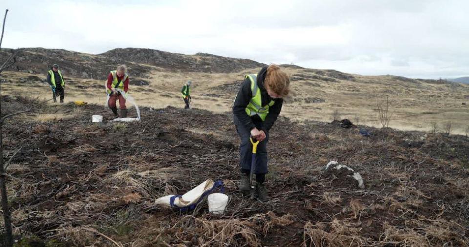 Tree planting at Corrimony