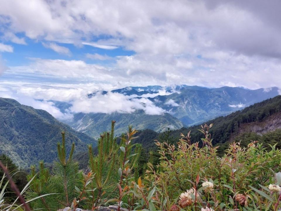 南橫公路雲海景觀。 （中華旅行社提供）