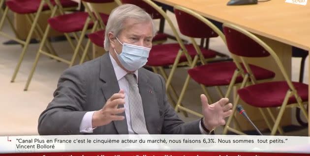 Vincent Bolloré face aux sénateurs dans le cadre d'une enquête sur la concentration des médias en France. (Photo: Capture écran Twitter Public Sénat)