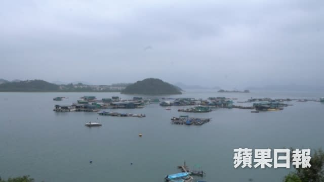 魚排位於榕樹凹養魚區，亦是本地其中一個滑水勝地。