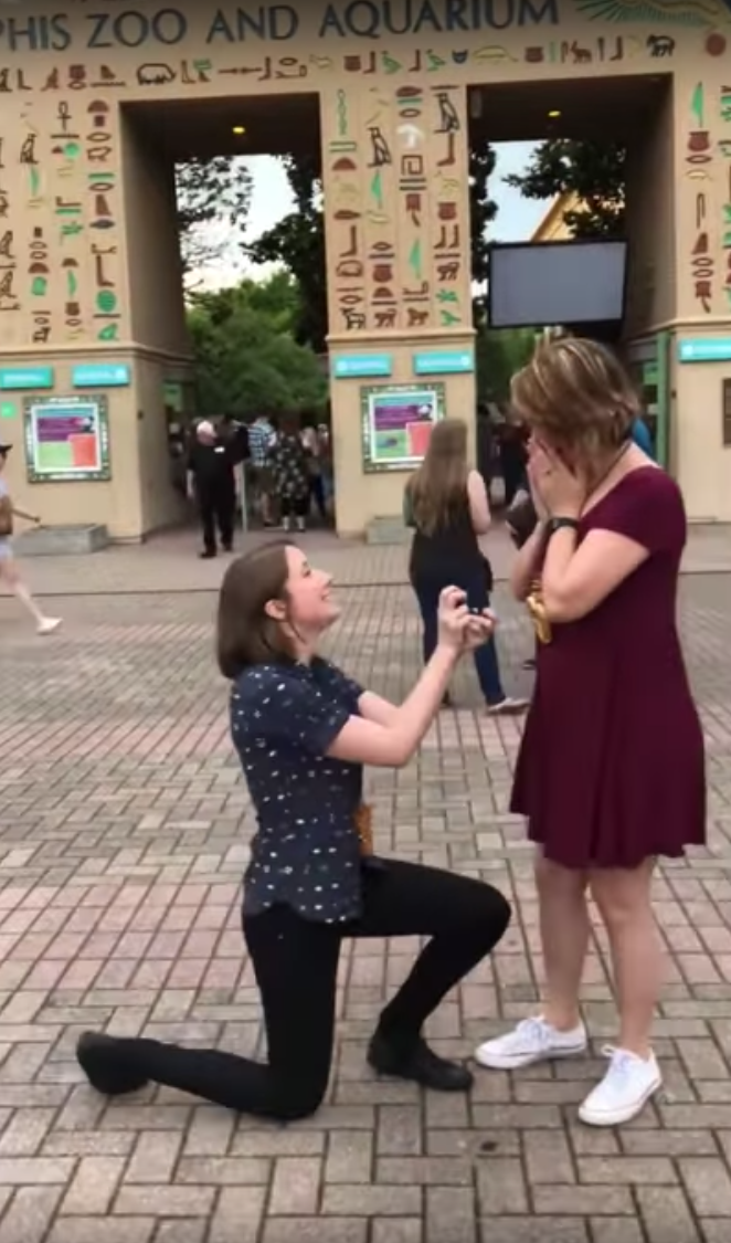 Becky set it up perfectly, before dropping to one knee to propose. Photo: Youtube/The McBabes