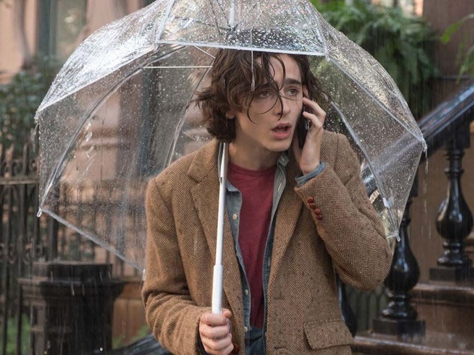 timothee chalamet a rainy day in new york