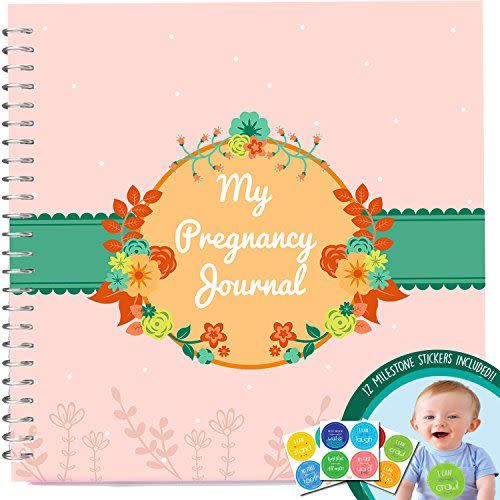 4) My Pregnancy Journal And Baby Memory Book With Stickers