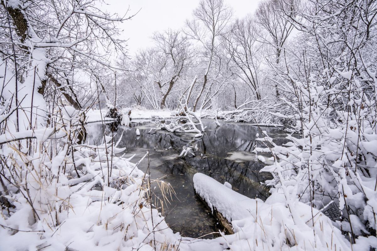 more-than-10-inches-of-snow-dumped-on-western-wisconsin-during-spring