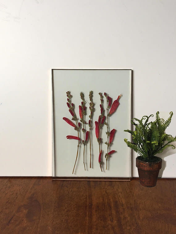 Framed plants, or <a href="https://www.huffingtonpost.com/entry/herbariums-dried-floral-arrangements_us_5a9d7fd4e4b0a0ba4ad6a9e1" target="_blank">herbariums</a>, are the home trend you need if you don't have a green thumb. Get this <a href="https://www.etsy.com/listing/510356870/pressed-flower-float-frame-glass-art" target="_blank">beautifully&nbsp;pressed flower portrait</a>&nbsp;on Etsy.