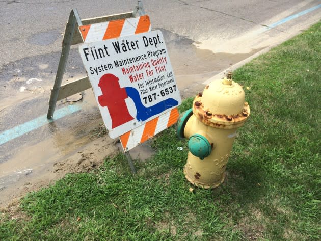 Hydrant flushing in Flint (Alana Semuels)