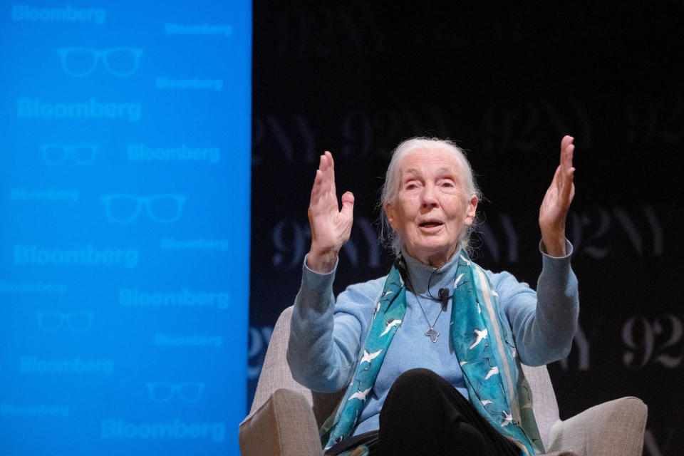 Jane Goodall (Jeenah Moon / Bloomberg via Getty Images)