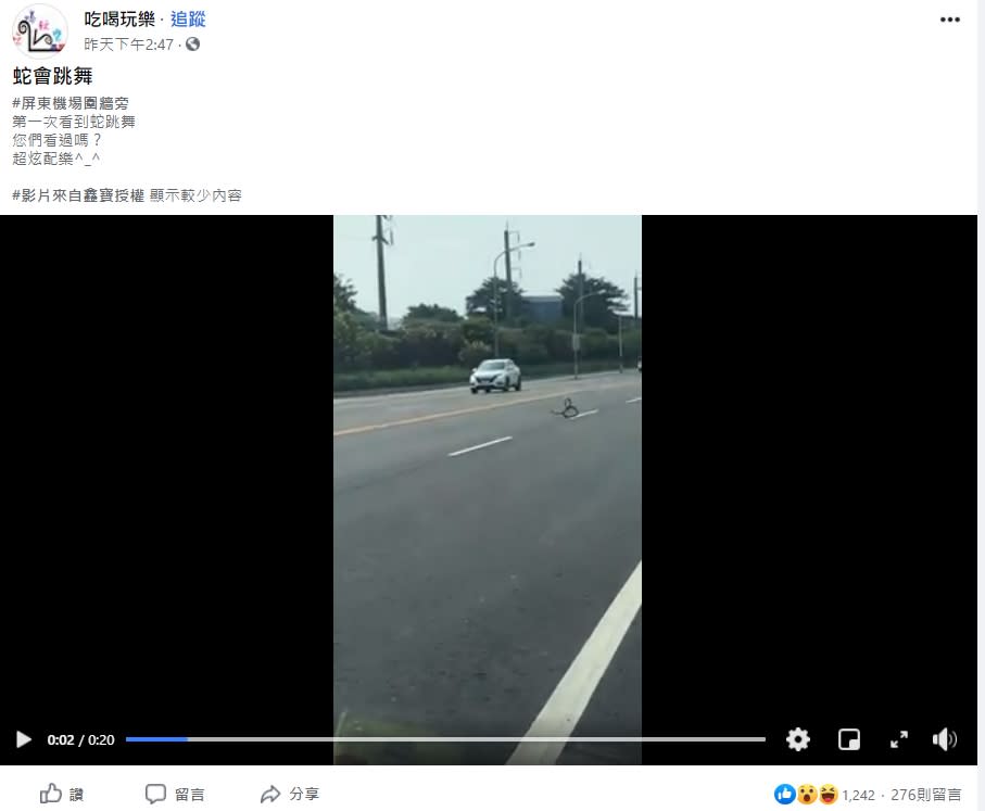 有民眾在屏東的大馬路上看見一條大蛇不停上下竄動。（圖／翻攝自「吃喝玩樂」臉書）