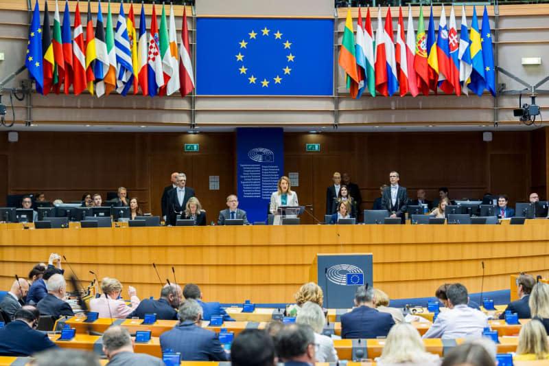 A general view of a plenary session of the European Parliament. Daina Le Lardic/European Parliament/dpa