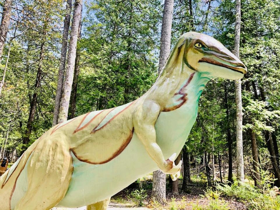 Talk a walk on the wild side with a visit to Dinosaur Gardens in Ossineke, Michigan. The park has 27 dinosaur sculptures along with a range of dinosaur-themed activities.
