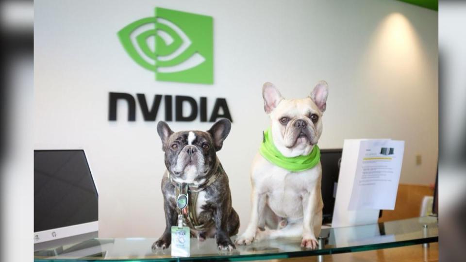 輝達（NVIDIA）美國矽谷總部允許狗狗一起上班。（圖／翻攝自 NVIDIA）