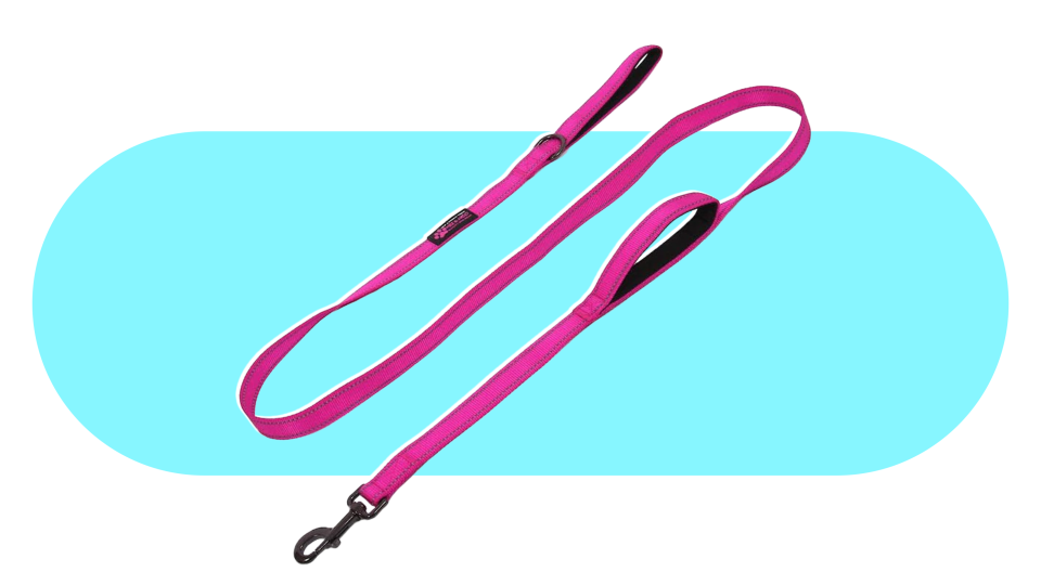 Barbiecore pet products: dog leash