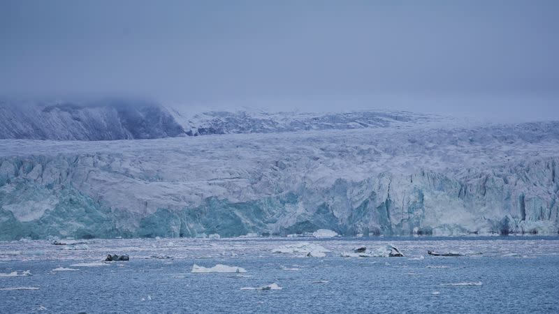 FILE PHOTO: A view across Yoldiabukta Bay towards Wahlenbergbreen glacier on Spitsbergen island in Norway