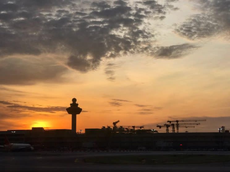 Foto: Reprodução/ Changi Airport