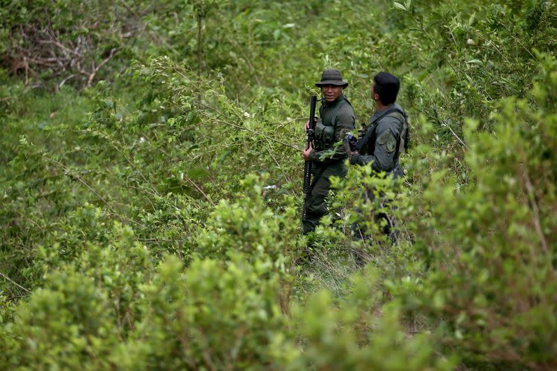 Foto de archivo. Policías antidrogas colombianos hacen guardia en una plantación de coca en Tumaco