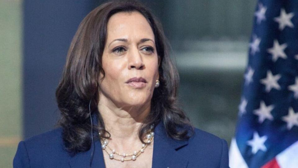 Kamala Harris's Investment Portfolio: Stocks, Index Funds and Real Estate Assets