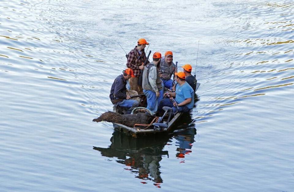 A group of hunters brings back a 220-pound bear by boat on Lake Tugaloo after a successful hunt in the South Carolina mountains in 2016. Bears also are hunted on the coast near Myrtle Beach.