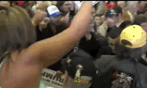 Donald Trump Forcefully Removes Protesters From Louisiana Rally