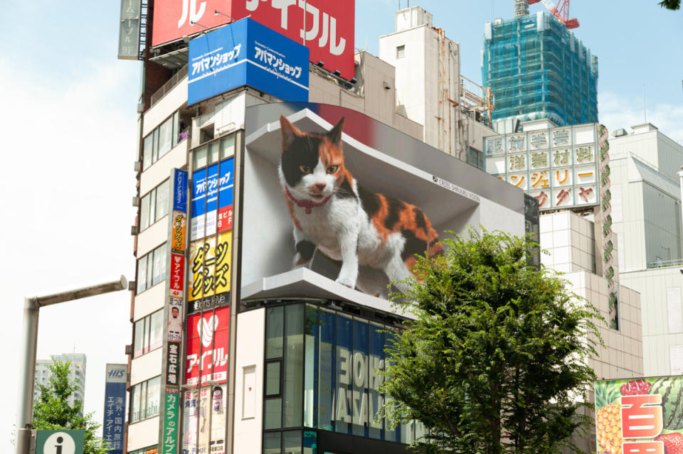 A giant realistic digital cat display in Shinjuku, Tokyo<p>Sergio Yoneda via Shutterstock</p>