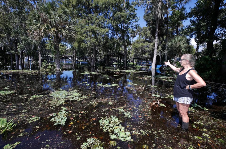 Pam Crenshaw checked out the water level in the backyard of her Astor home near the St. Johns River on Oct. 3 last year, just a few days after Tropical Storm Ian dumped nearly two feet of rain on some parts of Volusia County.