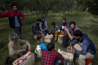 In this Sunday, Oct. 6, 2019 photo,Kashmiri farmers drink tea during a break at an orchard in Wuyan, south of Srinagar Indian controlled Kashmir. The apple trade, worth $1.6 billion in exports in 2017, accounts for nearly a fifth of Kashmir’s economy and provides livelihoods for 3.3 million. This year, less than 10% of the harvested apples had left the region by Oct. 6. Losses are mounting as insurgent groups pressure pickers, traders and drivers to shun the industry to protest an Indian government crackdown. (AP Photo/Dar Yasin)