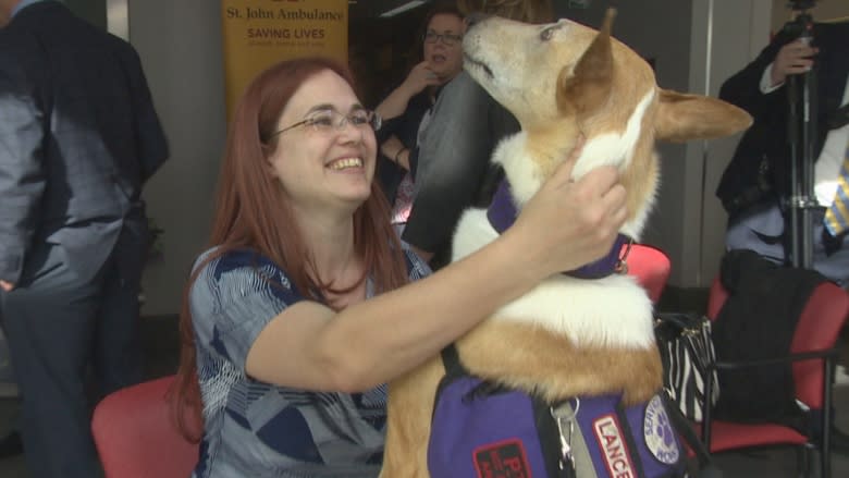 Alberta boosts funding to improve access to trained service dogs