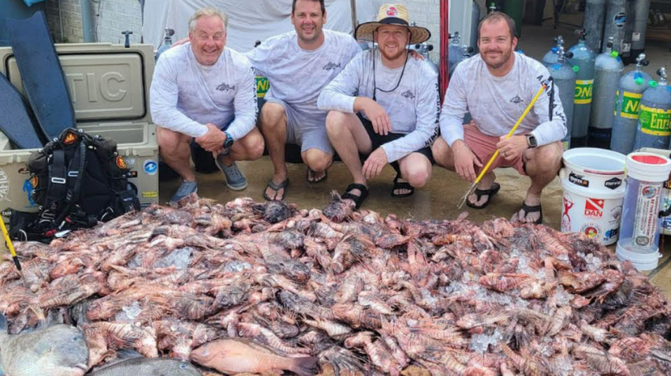 This is an example of the haul teams like Alabama Jammin’ pulled in during the 5th Annual Emerald Coast Open Lionfish Tournament.