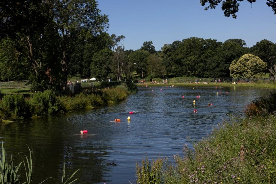 People swim in the lake at Beckenham Place Park, although (Dan Kitwood/Getty Images)