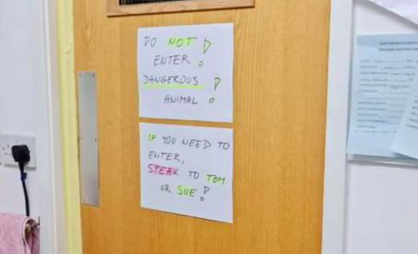 Warning signs were placed on the door to stop people entering the same room as the viper. (Twitter/South Essex Wildlife Hospital)