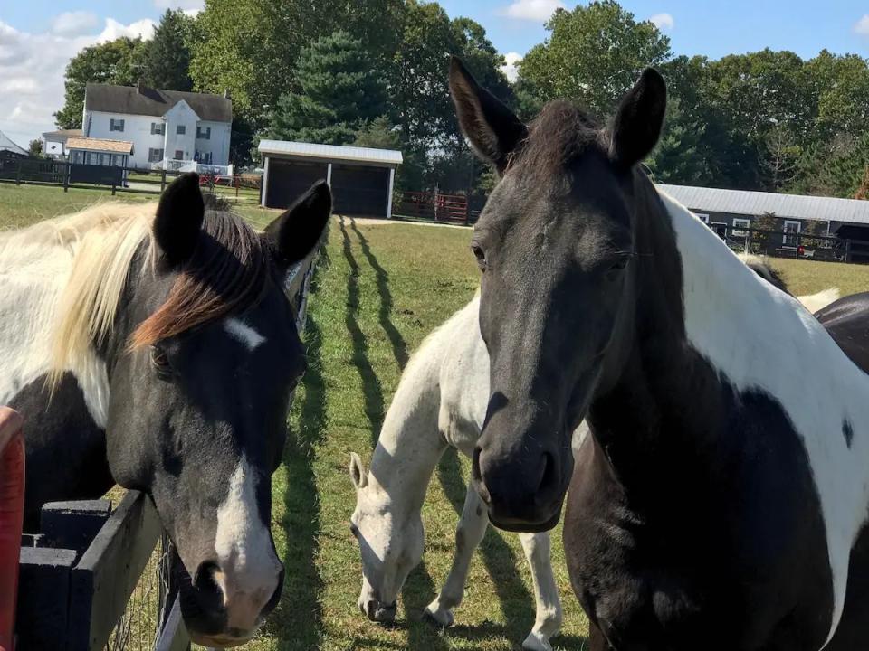 The Farm at Marshtown (Delaware)