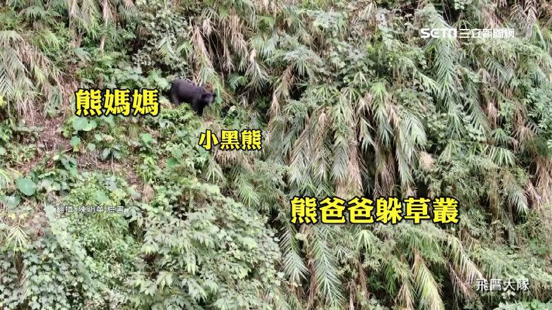 搜救人員遇見1家4口正在覓食的台灣黑熊。（圖／翻攝自陳明華臉書）