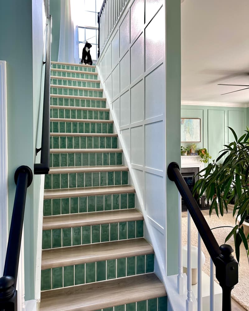 Cat at the top of newly renovated stairs.