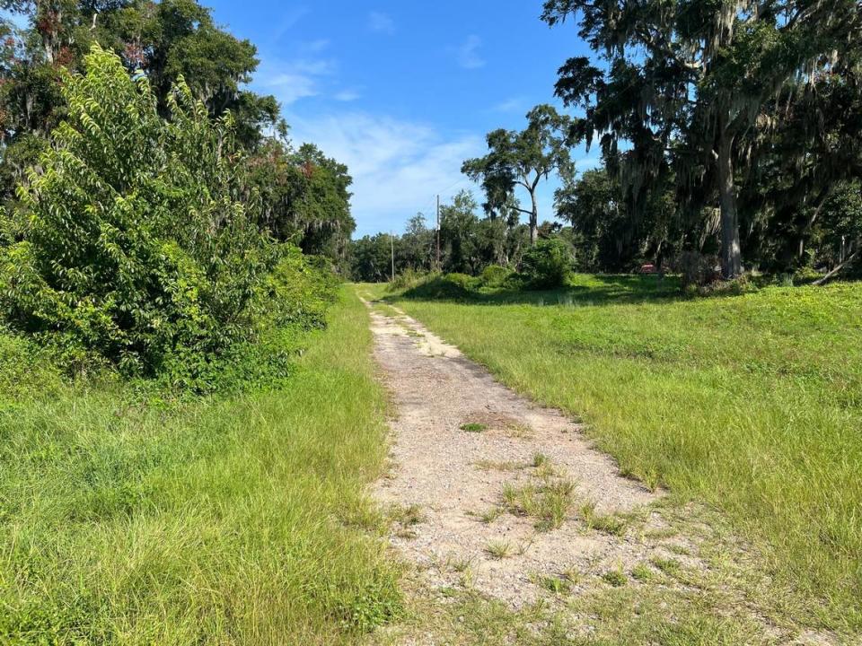 Soils along a former railway bed in Port Royal have elevated levels of arsenic that need to be cleaned up or covered before a housing development can proceed. Karl Puckett/kapuckett@islandpacket.com