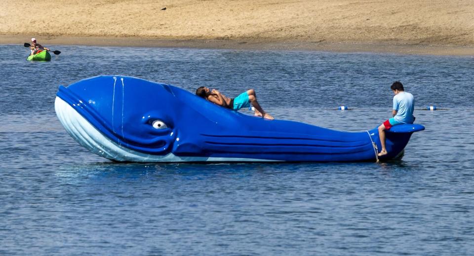 Kids climb a fiberglass whale.