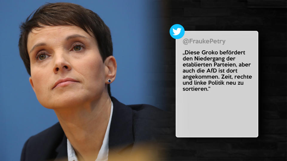 Frauke Petry (Einzelabgeordnete, fraktionslos)