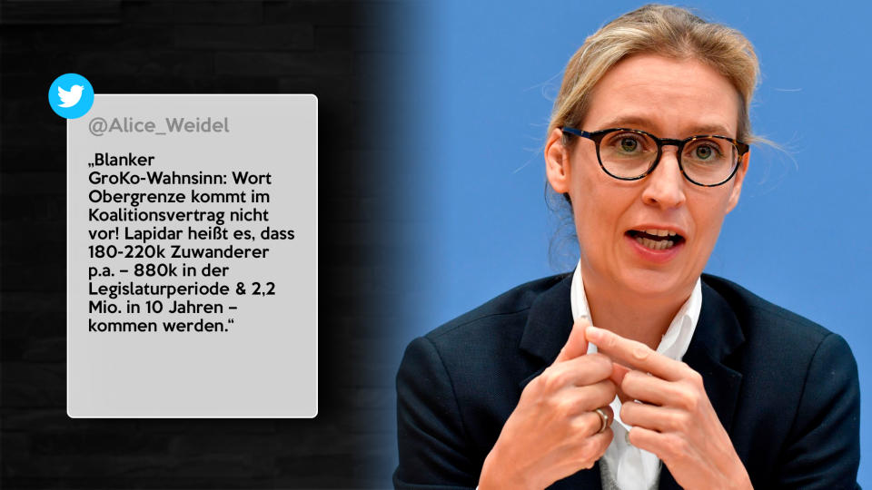 Alice Weidel (Fraktionschefin im Bundestag, AfD)