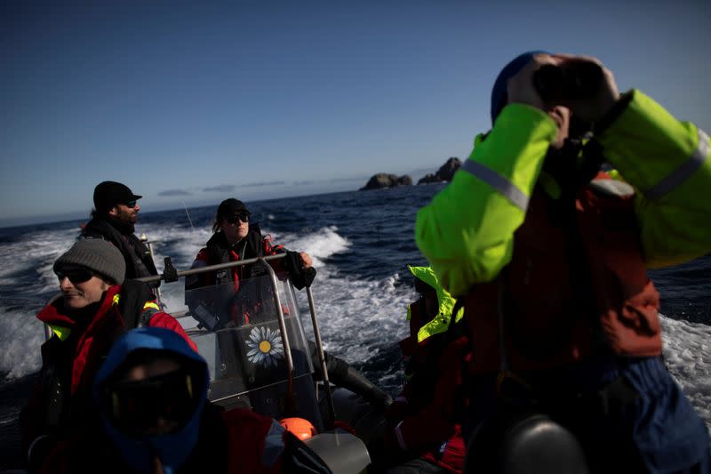 The Wider Image: On board the Antarctic expedition that reveals dramatic penguin decline