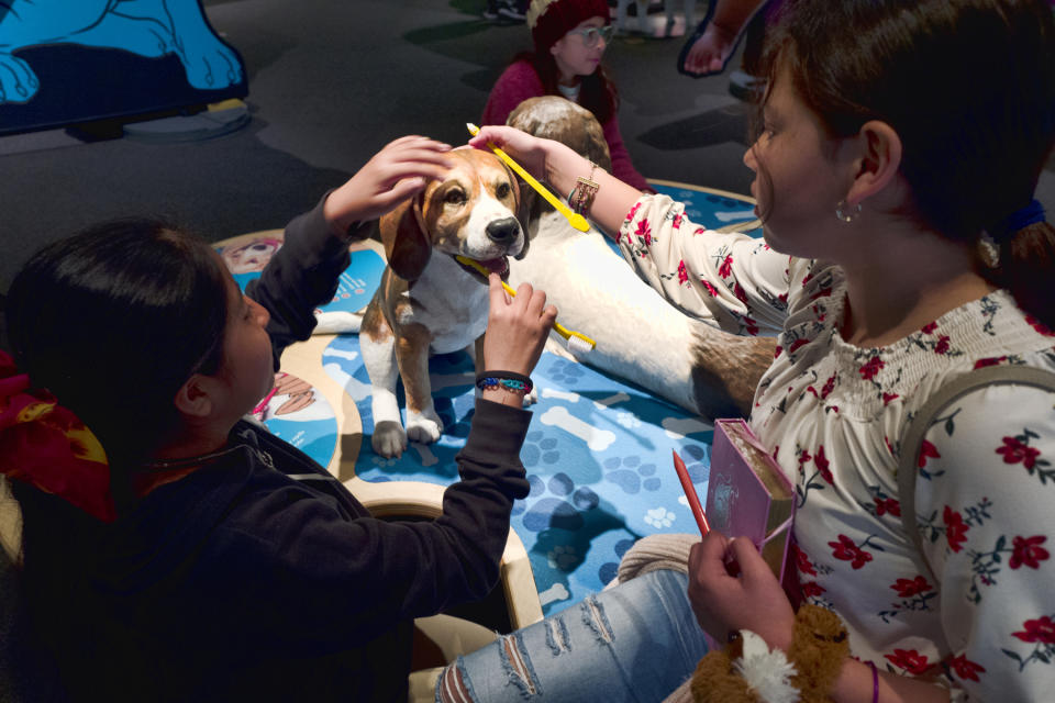 In this Tuesday, March 12, 2019 photo students from the Theodore T. Alexander Science Center School practice brushing dog's teeth at an interactive display during a preview of an exhibition called "Dogs! A Science Tail" at the California Science Center in Los Angeles. The new exhibit that opens Saturday examines the relationship between dogs and humans and explores why the two species seem to think so much alike and get along so well. (AP Photo/Richard Vogel)