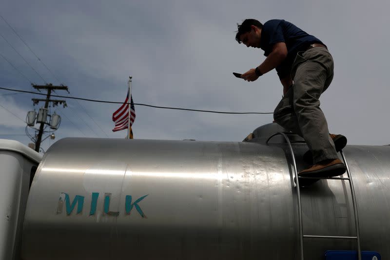 A man is seen over a milk truck at a farm as coronavirus disease (COVID-19) continues to spread in Middletown, Maryland