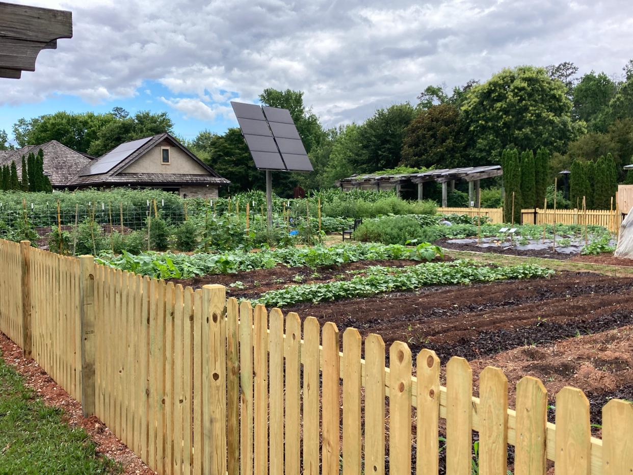 Furman University composts food waste from its dining halls into natural fertilizer. It can be seen between rows of plantings at the Furman Farm.