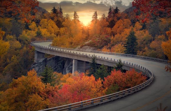 An empty highway curves through trees with autumn leaves