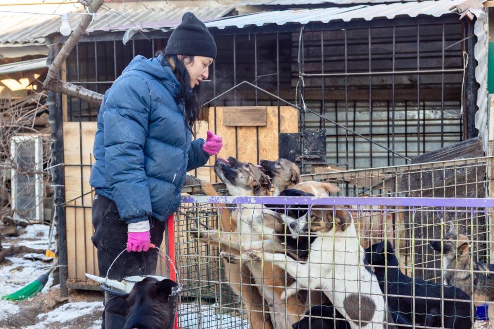 Vorontsova has spent all of her own savings trying to help the dogs. (The Red Shed)